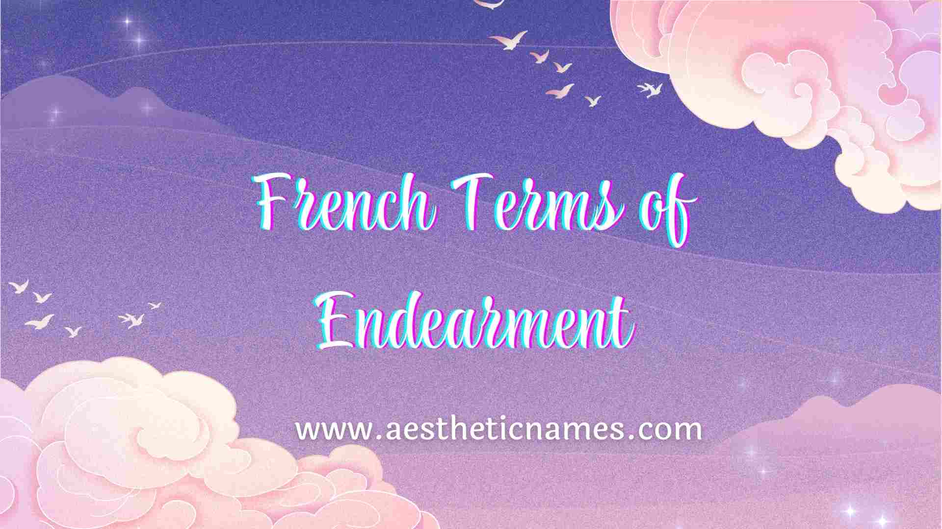 Read more about the article 170+ Unique French Terms of Endearment-AestheticNames